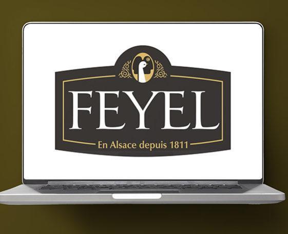 Trésorerie pour FEYEL& ARTZNER