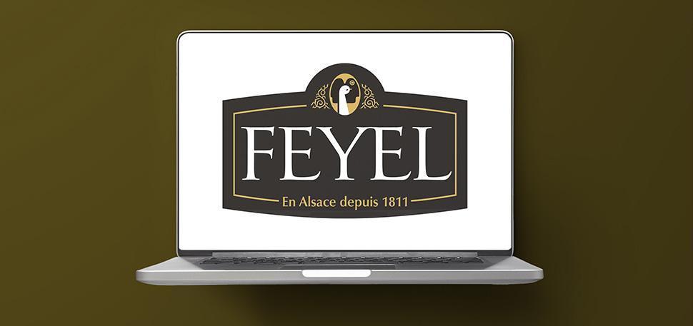 Trésorerie pour FEYEL& ARTZNER