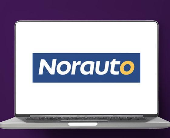 Fraude, Sepamail pour NORAUTO