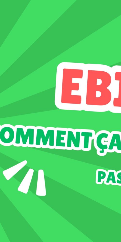 Comment fonctionne EBICS ?